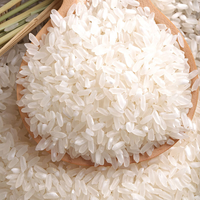 东北大米500g塑封包装香米粮油煮粥大米清香优质大米农家当季新米500g