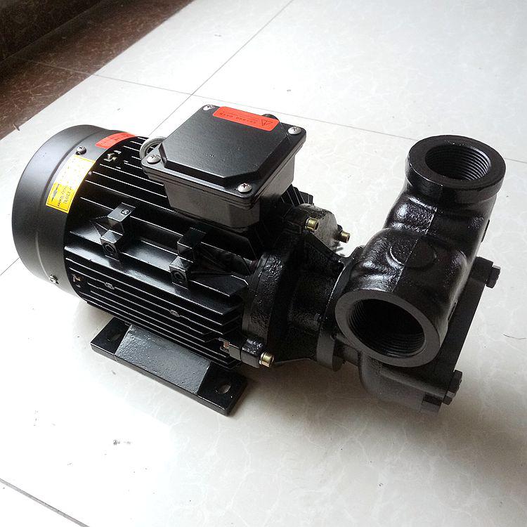 耐高温热油泵模温机热水泵导热油循环泵wm-30 wm-20s