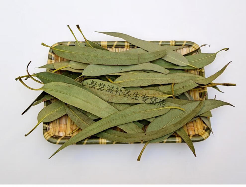 志医世家桉树叶500g中草药小桉树大叶中药材按树叶子干尤加利树叶磨