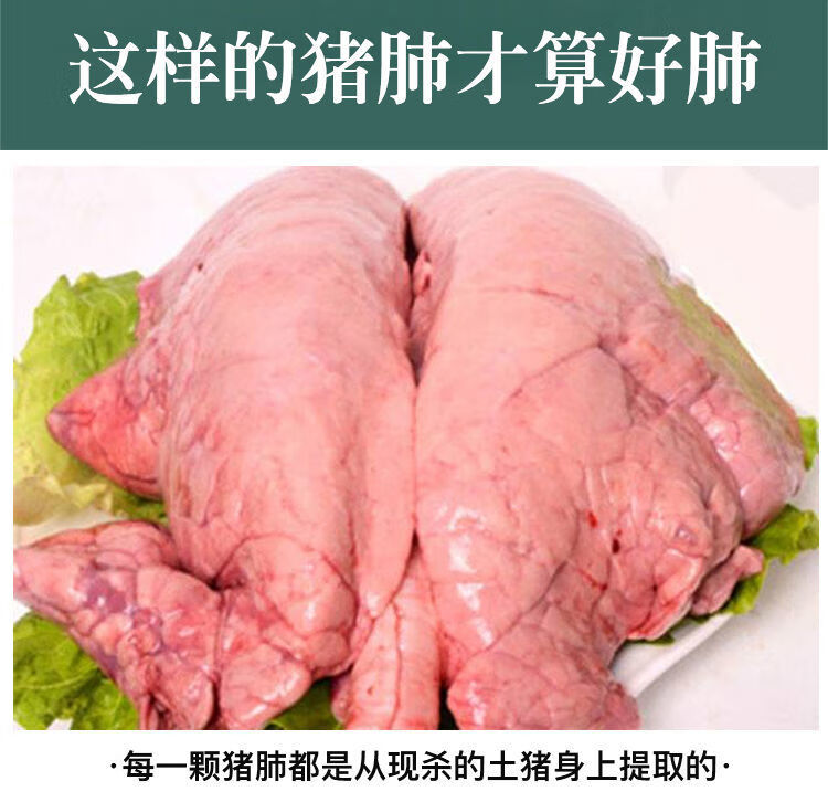 东北现杀新鲜猪肺子正宗农家猪内脏生猪肺冷鲜生猪肺1个有肺管