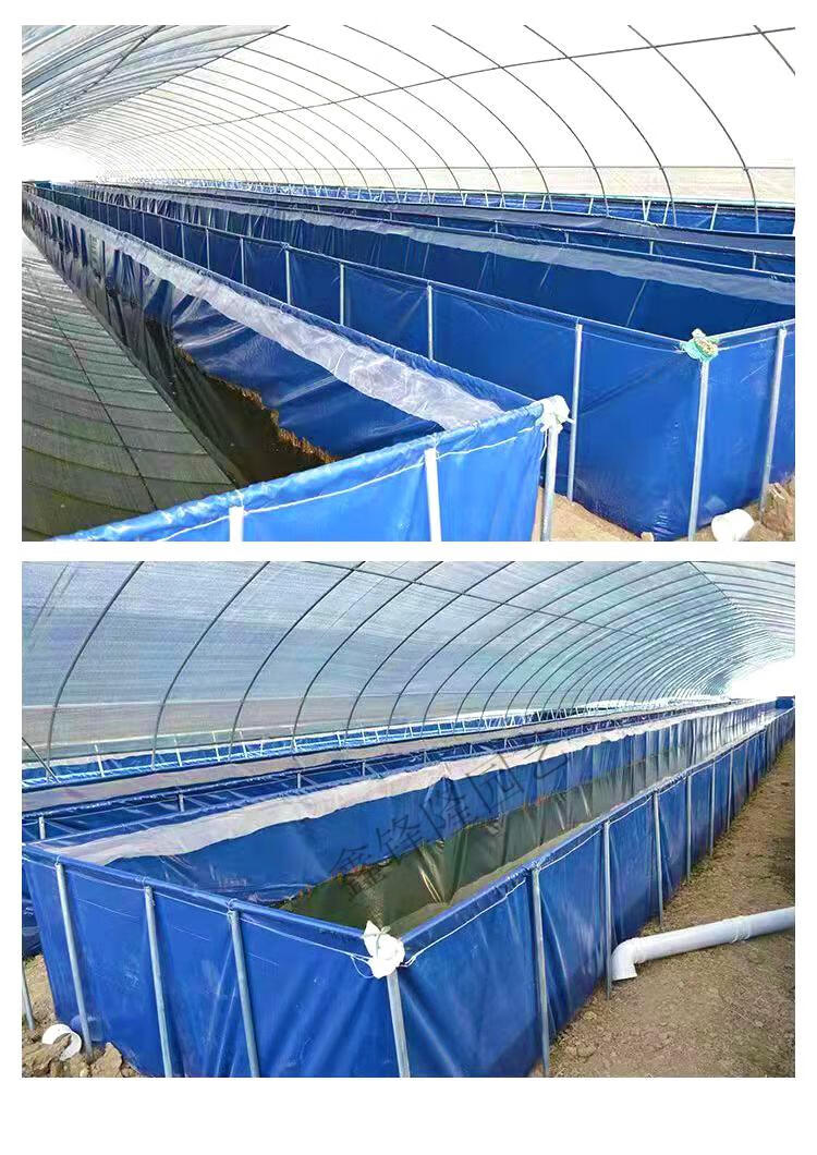 帆布鱼池防水布户外游泳池家用养殖水箱刀刮布养鱼池雨布篷布水池