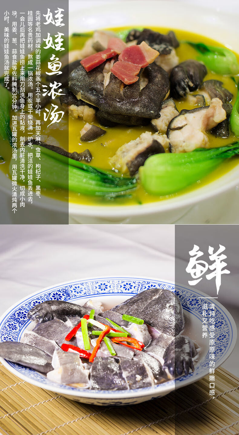 娃娃鱼 活鱼 鲜活食用包活到家 养殖场直发月子餐大鲵鱼苗玛木拉德 5