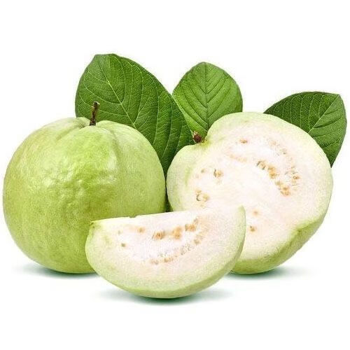 精选生鲜农家果园现摘现发白心番石榴新鲜芭乐2斤5斤当季热带水果2斤