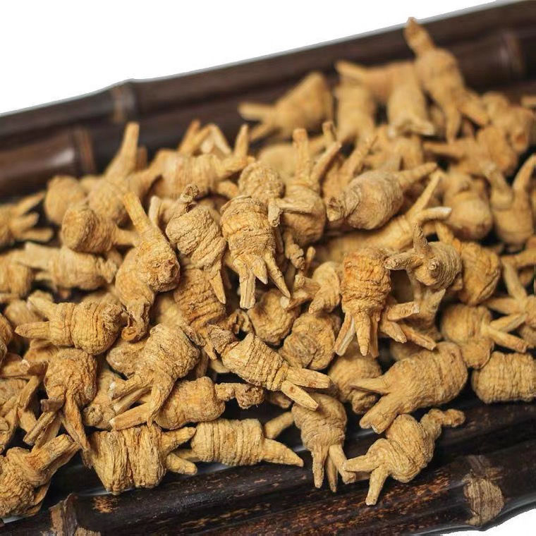 觅阳参野生花旗参野山参特级牙齿参紫云人参切片代磨粉 整粒 精选8年