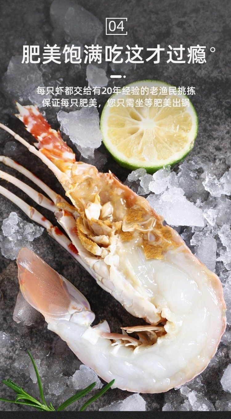 6只玫瑰龙超大莫桑比克小青龙虾红波龙刺身新鲜冻品黑金鲍600800g只1