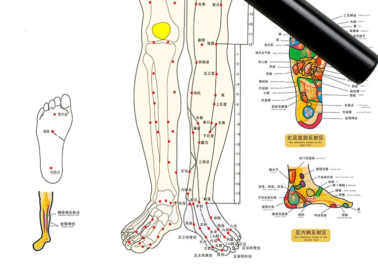 人体经络图穴位大挂图中医养生馆挂画全身按摩针灸装饰画卷轴挂画