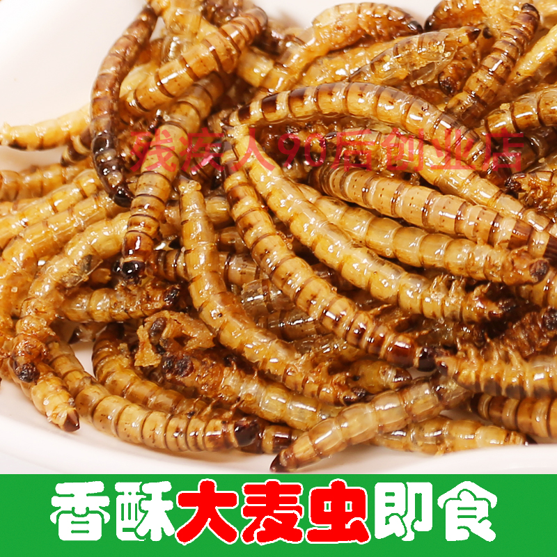 油炸大麦虫虫子美食昆虫食用即食美食香酥可以能吃的烤炸虫子零食