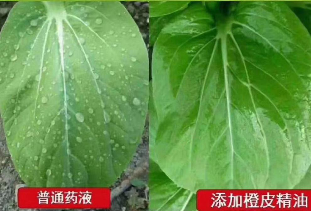 海岱绿洲植物橙皮精油助剂农用农药助剂渗透剂增效剂1000克白色橙皮