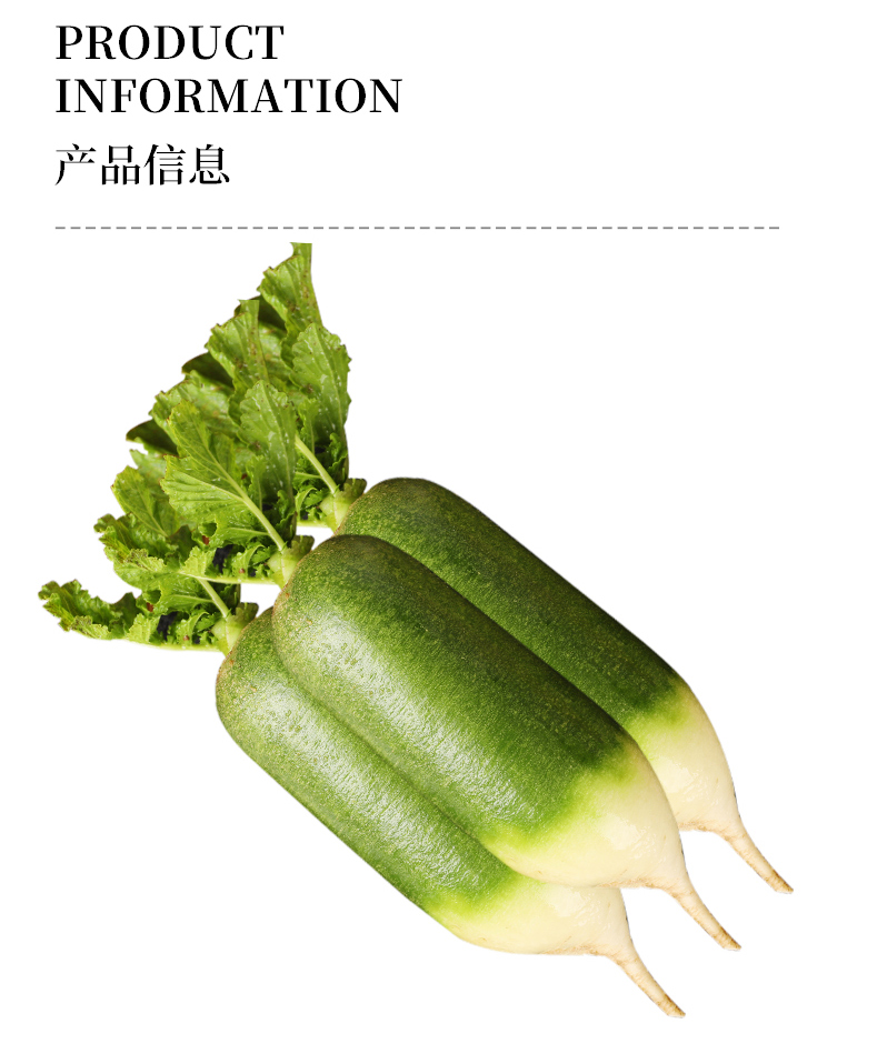 水果萝卜甜脆水果型沙窝天津潍坊潍县新鲜正宗生吃青皮绿萝卜5斤水果