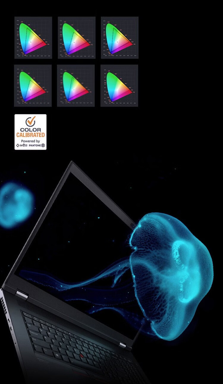 联想(thinkpad)p17移动图形工作站 w-10855m丨16g丨1t丨rtx3000【图片