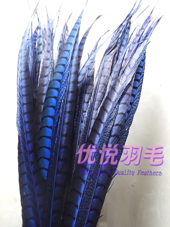 舞台俏花旦京剧戏曲头饰翎子鸡毛鸡尾野鸡毛鸡侧尾羽毛 宝蓝80-90cm