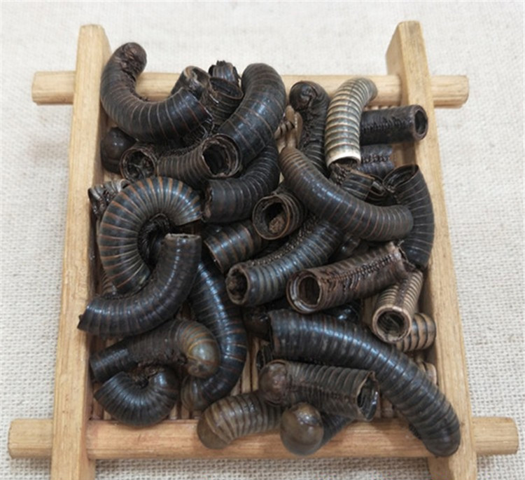 伟博 马陆 中药材马陆 山蛩虫 百节虫虫 山蛰虫 新货 1000克【图片