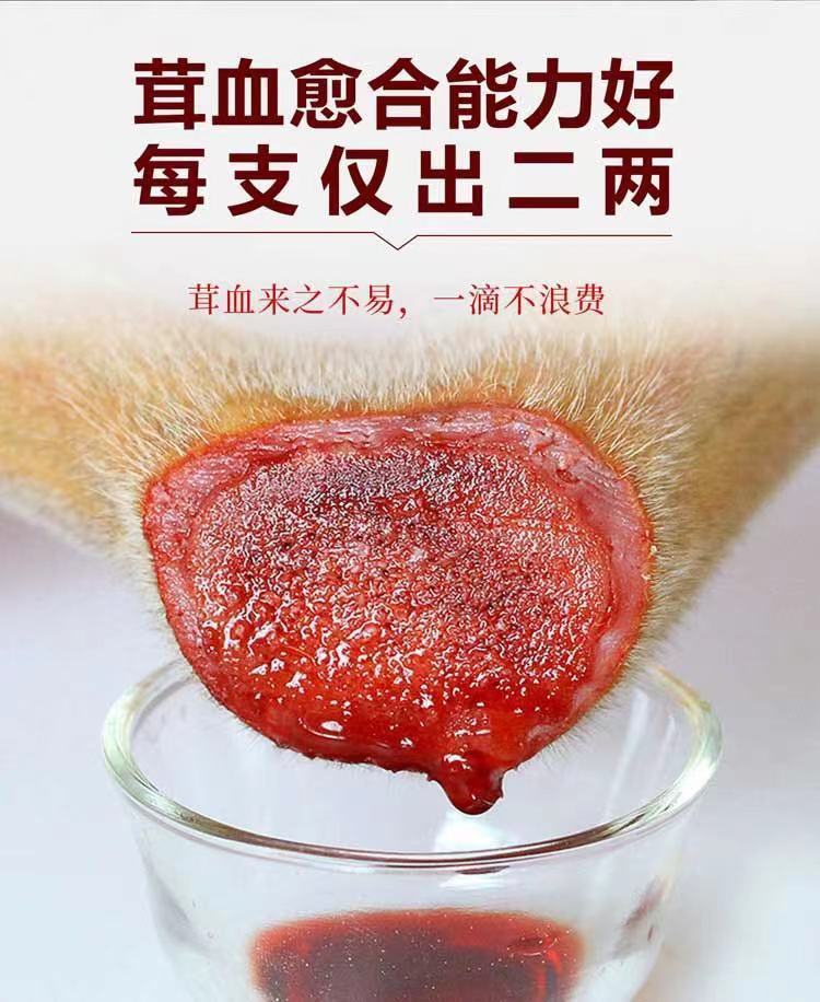 鹿鞭胶囊鹿血冻干粉 鹿茸血冻干粉10瓶(礼盒装)【图片 价格 品牌 报价