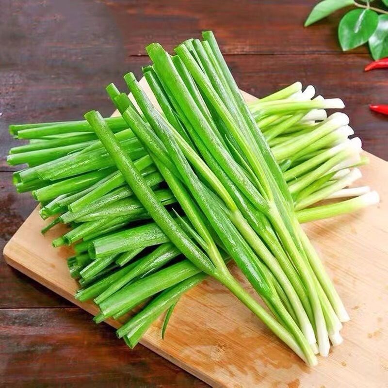 春光岛东北新鲜小葱小水葱打饭包香葱蘸酱菜鲜香微辣味道正宗 新鲜