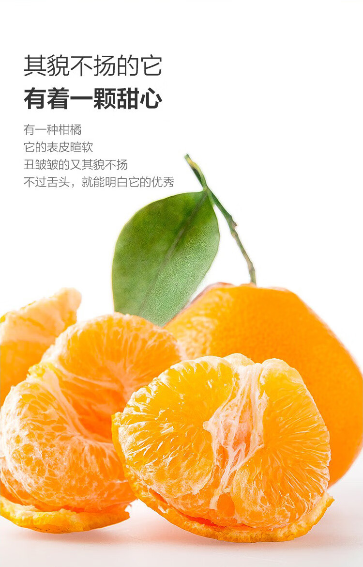 棠鲜生 四川春见耙耙柑当季丑八怪丑橘子粑粑柑橘子新鲜水果 3斤