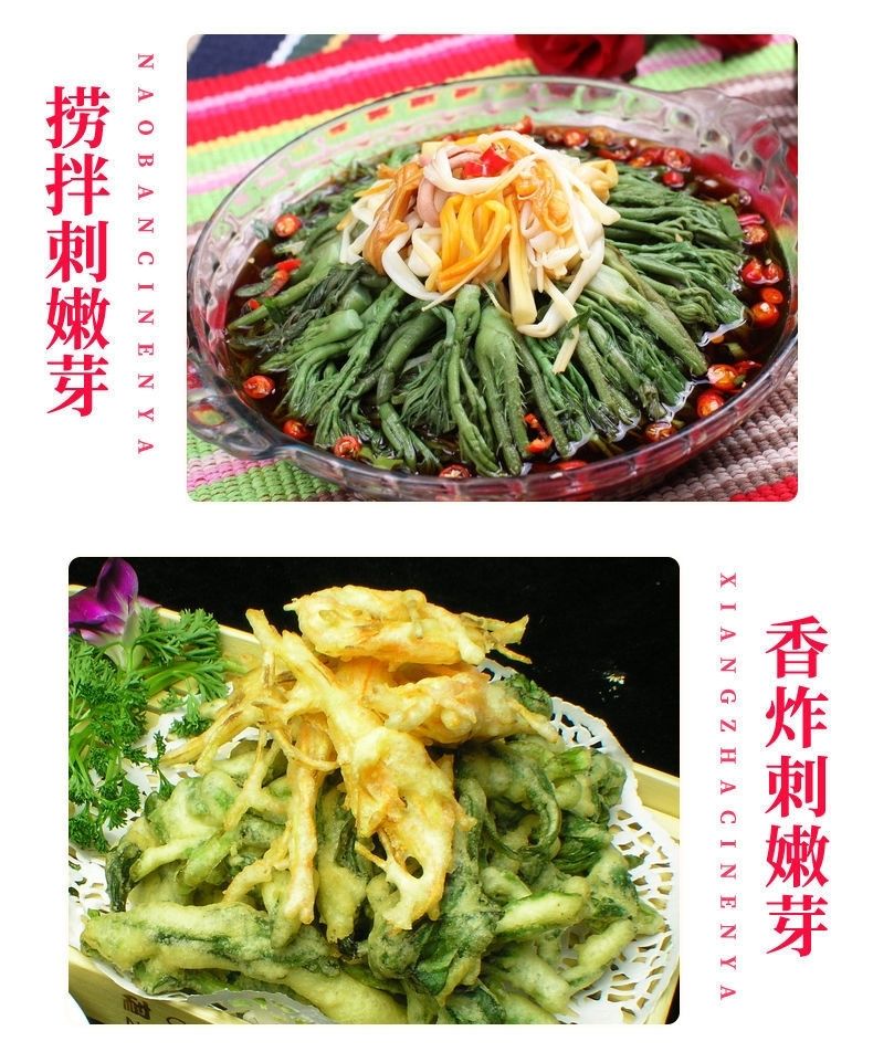 刺龙芽1斤 新鲜蔬菜刺龙苞刺嫩芽现摘现发当季下饭菜5斤顺丰 两斤刺龙