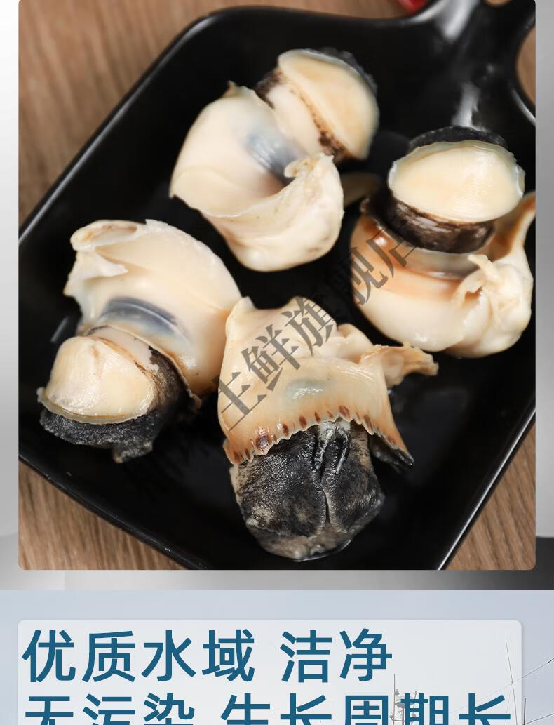 海螺肉新鲜剥取海螺头野生大海螺冷冻海螺肉去头去内脏海鲜水产1000g