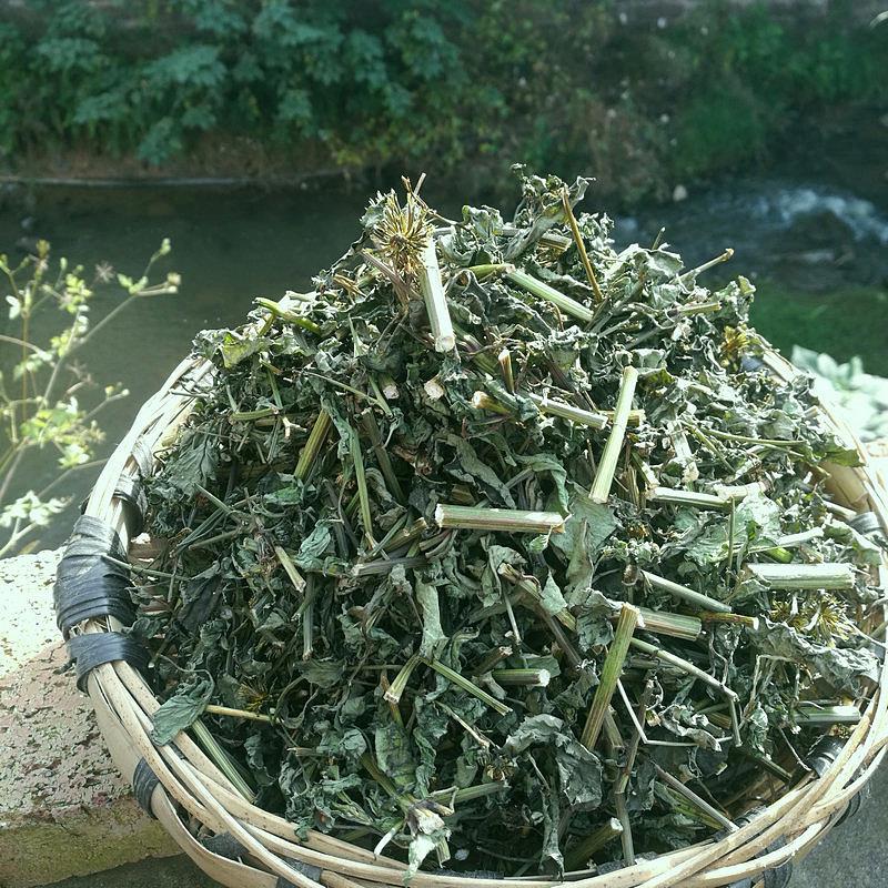 野生鬼针草500g四川农村自晒三叶鬼针草茶免洗鬼真草叶杆针花全草