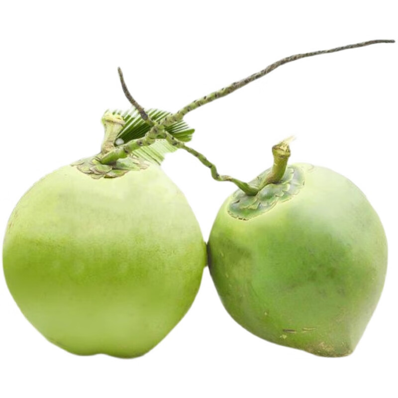 带皮椰青8个 当季海南特产老椰子鸡汤青椰新鲜椰子