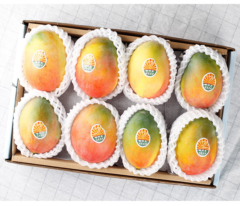 【礼盒装】攀枝花凯特芒果 5/8斤特大果当季新鲜水果 5斤 礼盒装