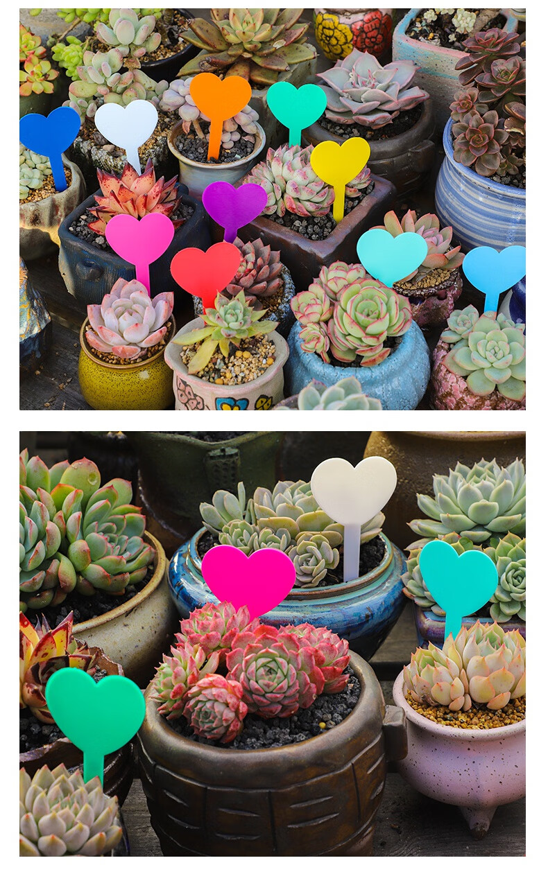 纳格兰宏荣园艺多肉标签加厚爱心型兰花花卉标签多肉标识牌防水塑料插