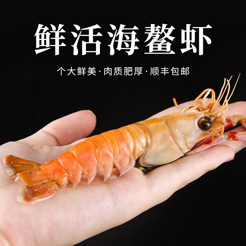 渤海海鳌虾螯虾超大深海海熬虾新鲜甜虾海鲜水产日料