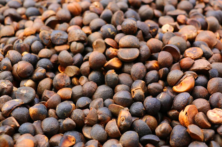 江西茶油山茶油茶籽油食用月子农家压榨