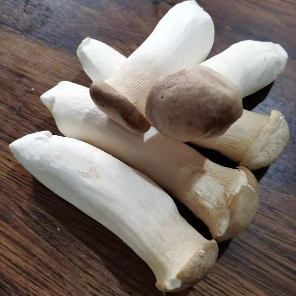 jd物流杏鲍菇菌菇食用菌火锅涮菜精品杏鲍菇三斤