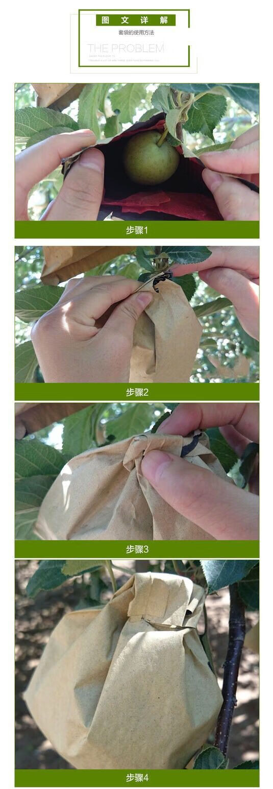 套梨专用袋子双层外黄内黑黄金梨套袋桃子防水防虫保护袋1822双层平口