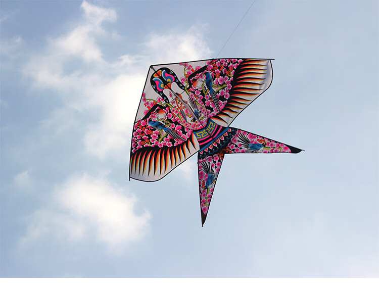 大型风筝潍坊风筝沙燕风筝大型风筝微风易飞成人儿童卡通好飞保飞网红