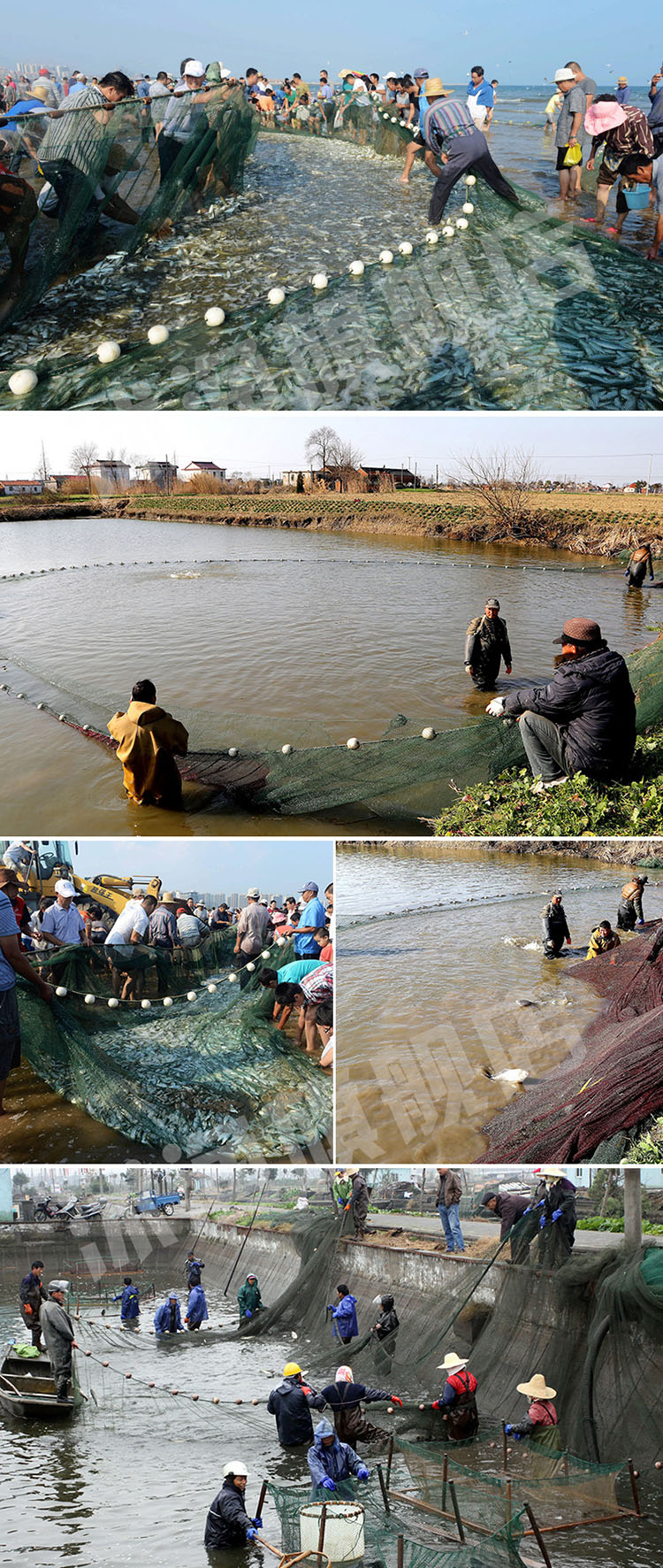 拉网拖鱼网拉网渔网带兜捕鱼塘小型刮鱼网家用抬网拉鱼网箱网 6米宽2