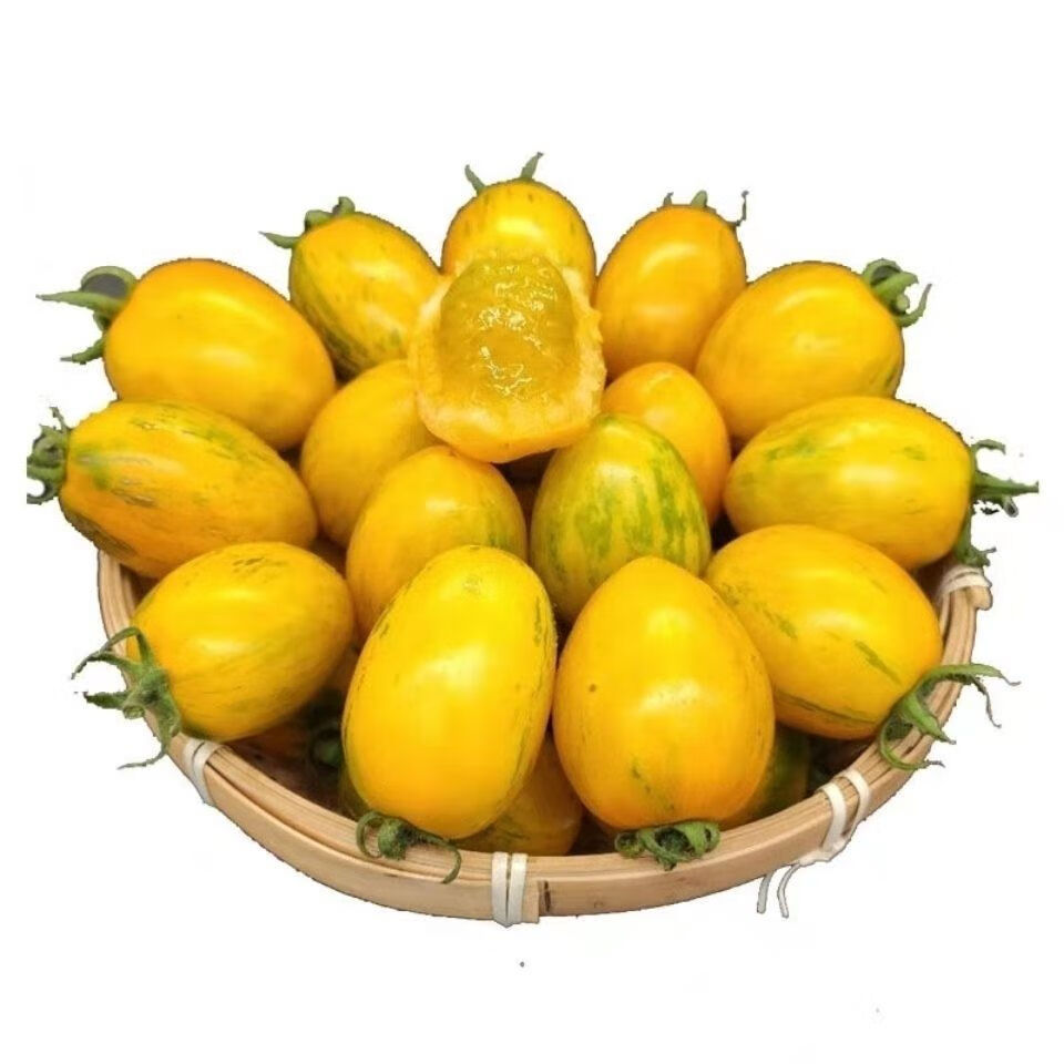 东北皮球柿子红黄皮球小番茄小西红柿春桃柿子农家小园自种 东北新开