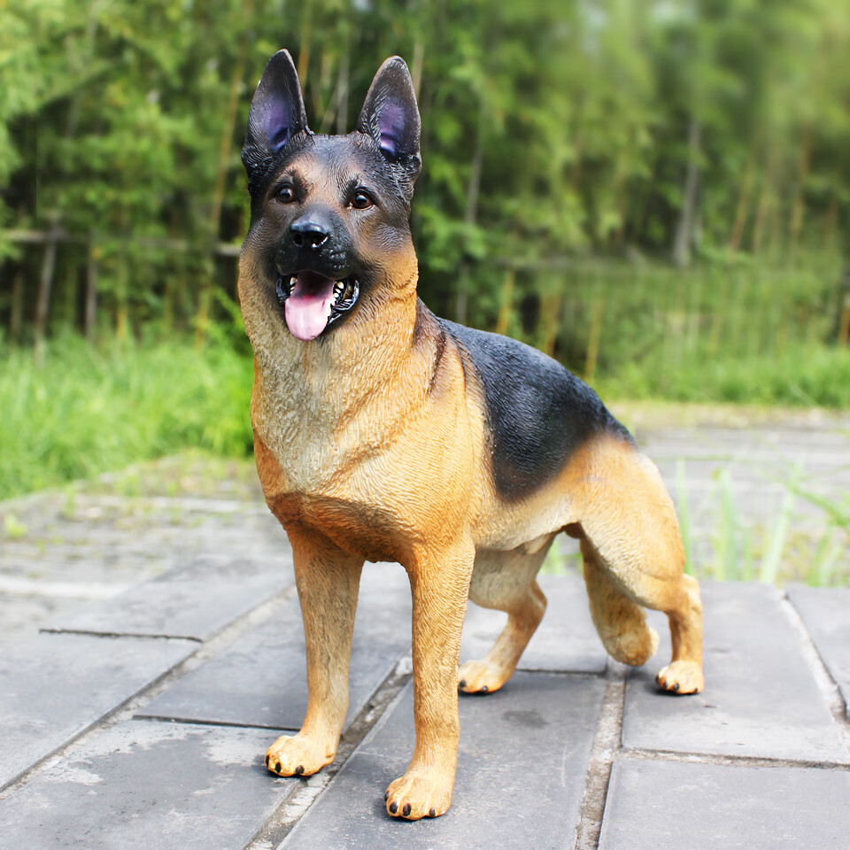 5【图片 价格 品牌 报价】-京东