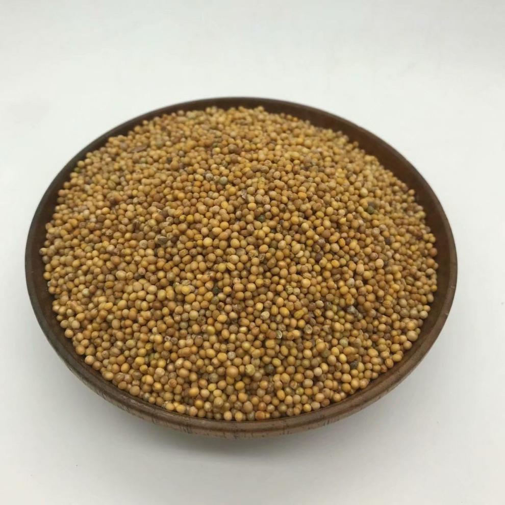 凯史甘斯 白芥子 白芥籽新货 生白芥子 白芥子500克【图片 价格 品牌