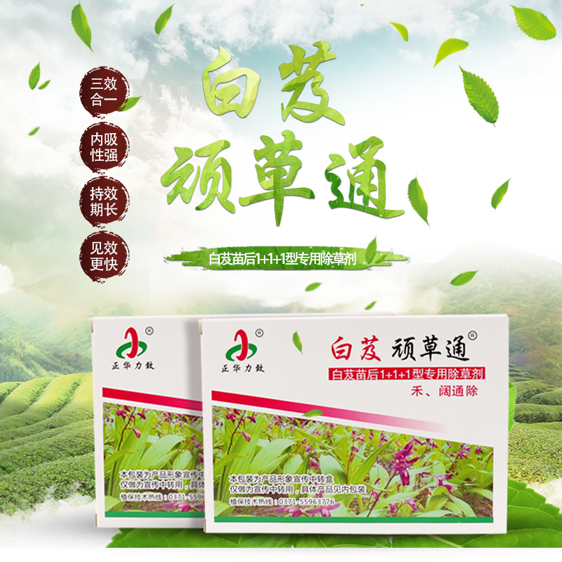白芨除草剂苗后专用除草剂禾阔通除尖叶圆叶杂草不伤苗65ml