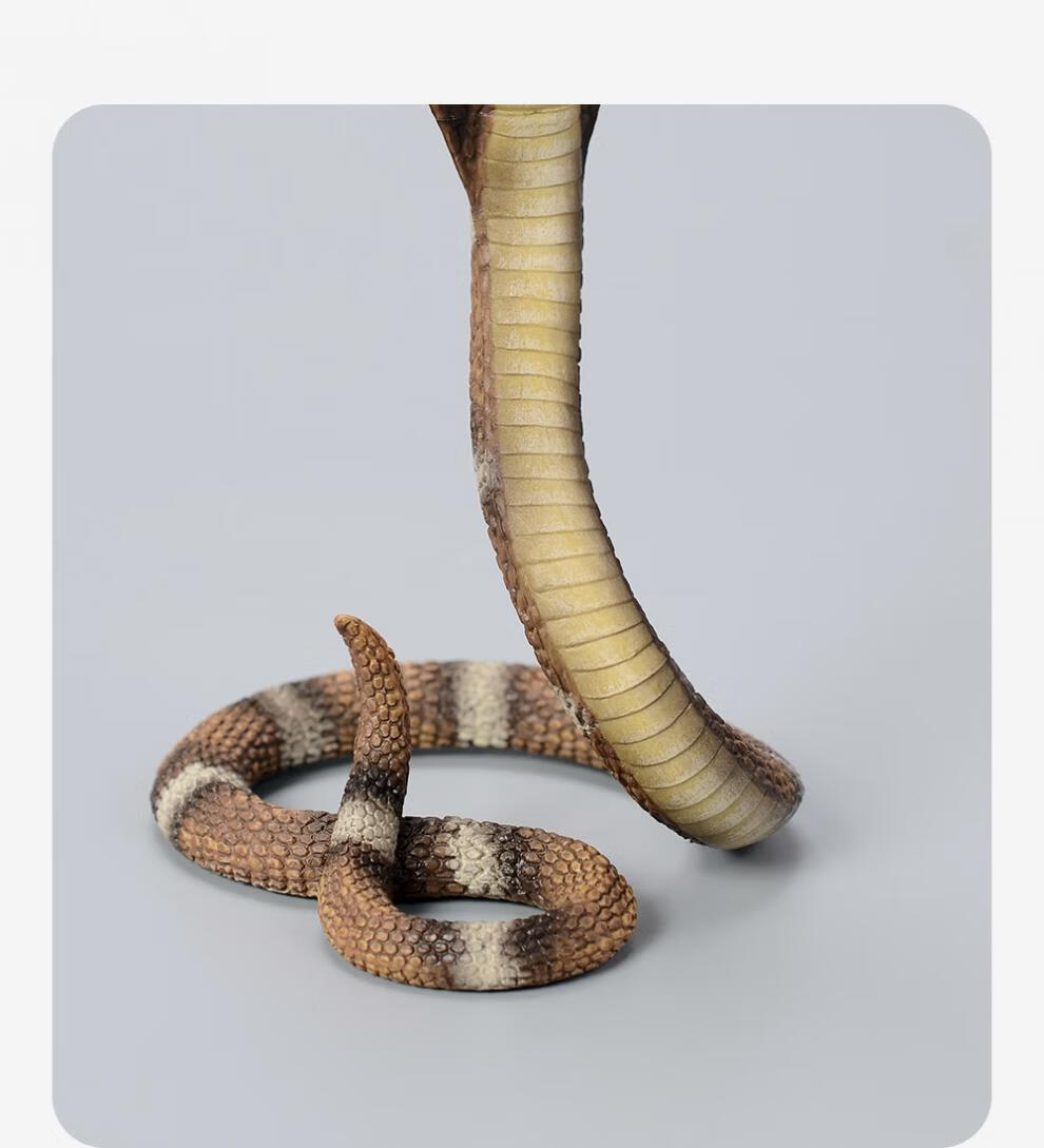 迪士尼disney眼镜蛇玩具仿真蛇模型野生动物硬橡胶假蛇毒蛇摆件儿童