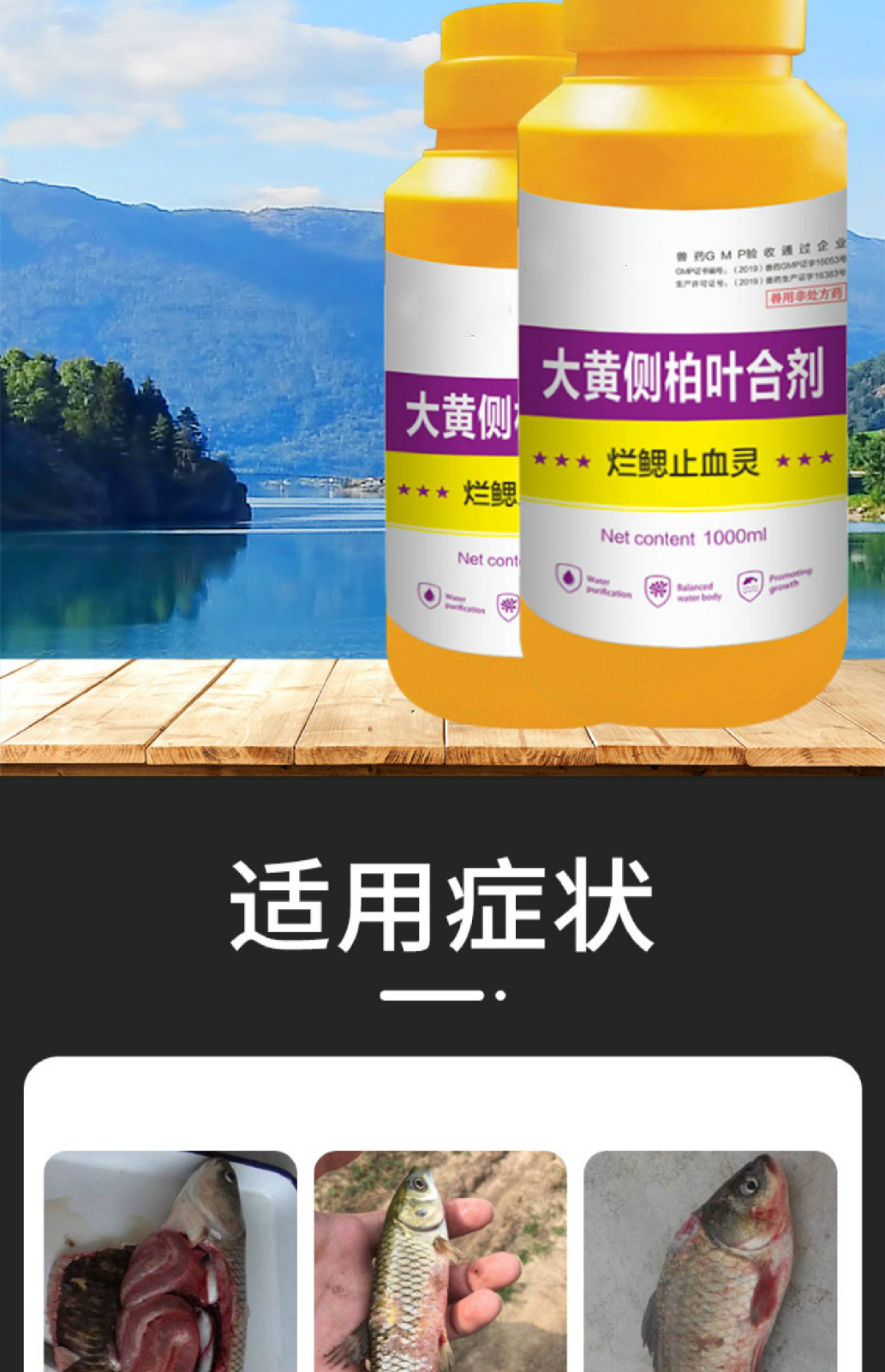 烂鳃止血灵肠炎烂腮止血烂身烂尾鱼塘用鱼药水产养殖专用药6瓶