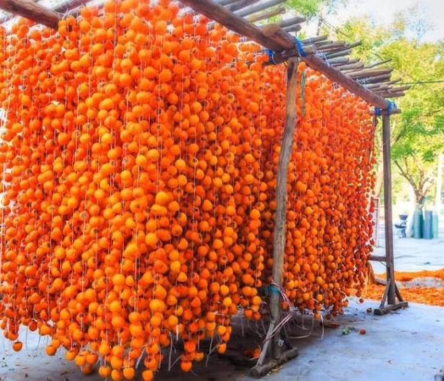 楠溪江吊柿子柿饼农家自制新鲜霜降柿子饼柿饼传统原味自然圣诞团建