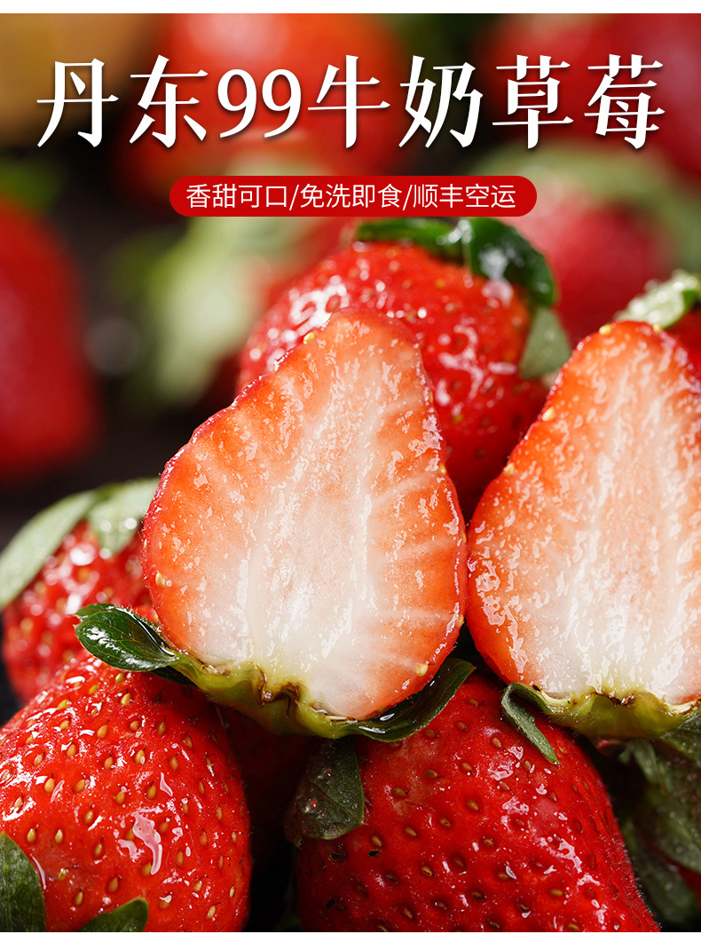 顺丰直达丹东99牛奶草莓5斤新鲜孕妇应当季水果大红颜奶油甜草莓32500