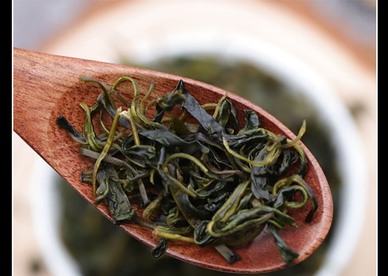 蒲公英苦丁罗汉果茶新鲜小叶苦丁泡水罐装蒲公英小叶苦丁罗汉果3罐装