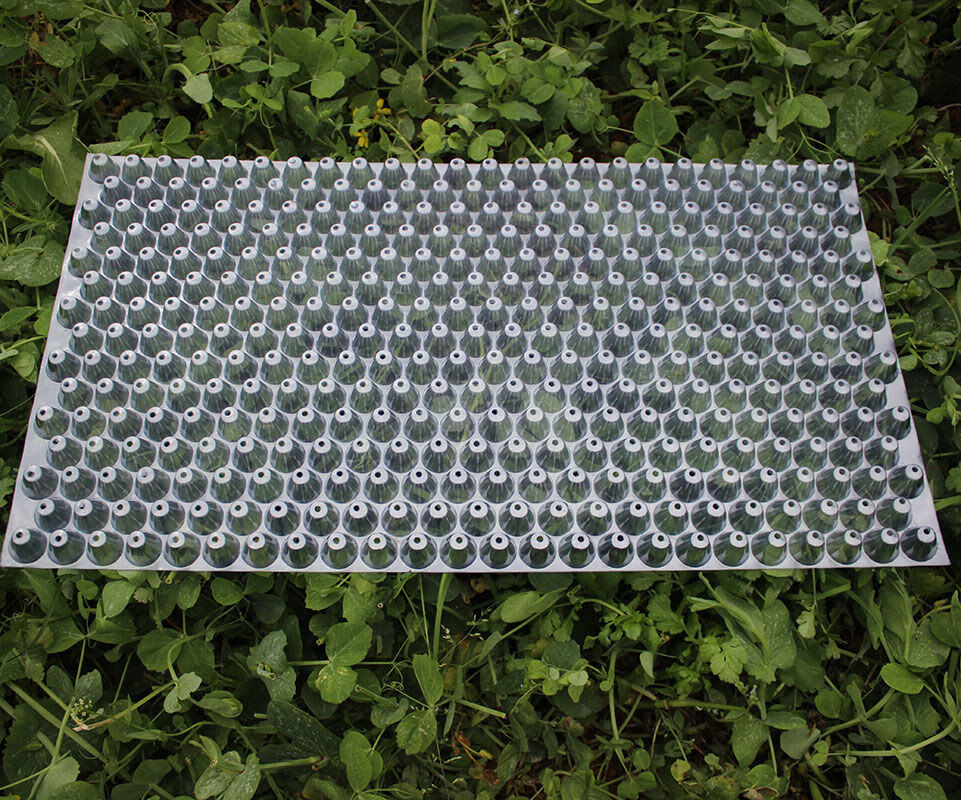 鸿盛手抛育秧盘水稻人工抛秧晚稻育苗盘塑料抛秧434孔353孔561孔加厚