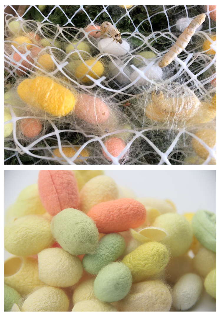 沃绣蚕菇凉蚕宝宝饲养工具吐丝上簇网大结茧专用方格簇耐用大号结茧网