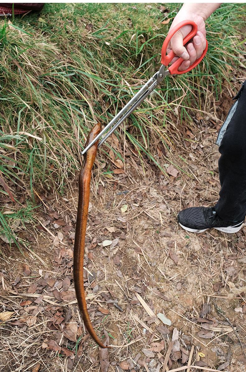夹黄鳝鱼的夹子神器不锈钢加厚加长赶海工具夹泥鳅鳝鱼垃圾火钳子直口