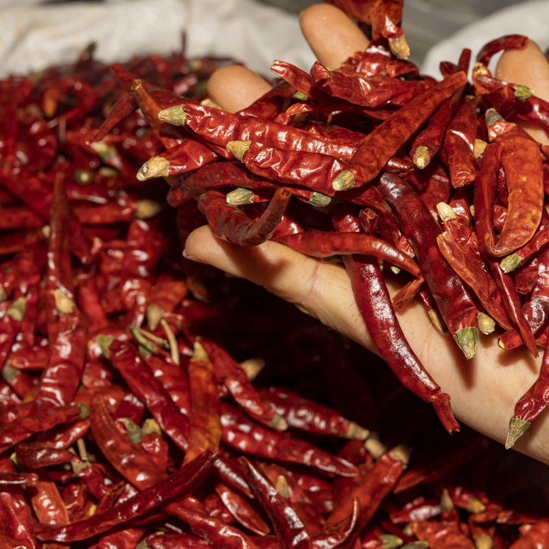 1斤湖南特产干货干红辣椒微辣中辣特香农家自然晒干辣椒调料新货微辣