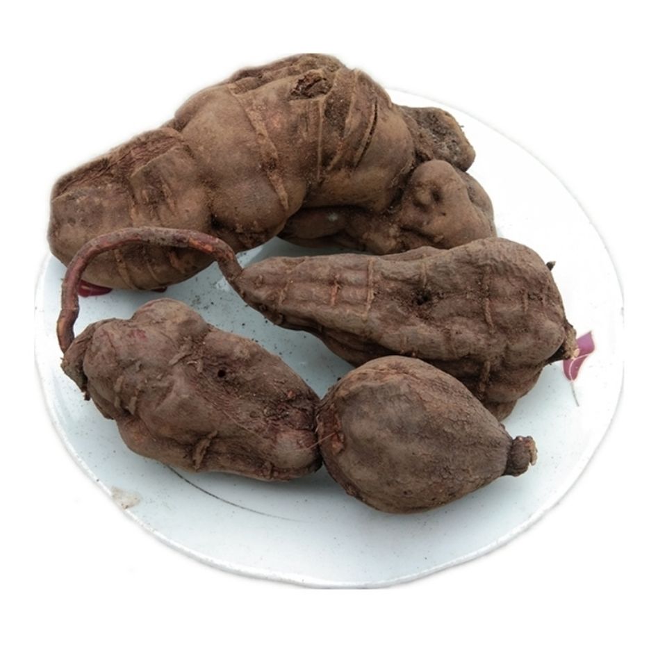 大别山的野生黑首乌新鲜何首乌货千年何首乌生首乌统货500g