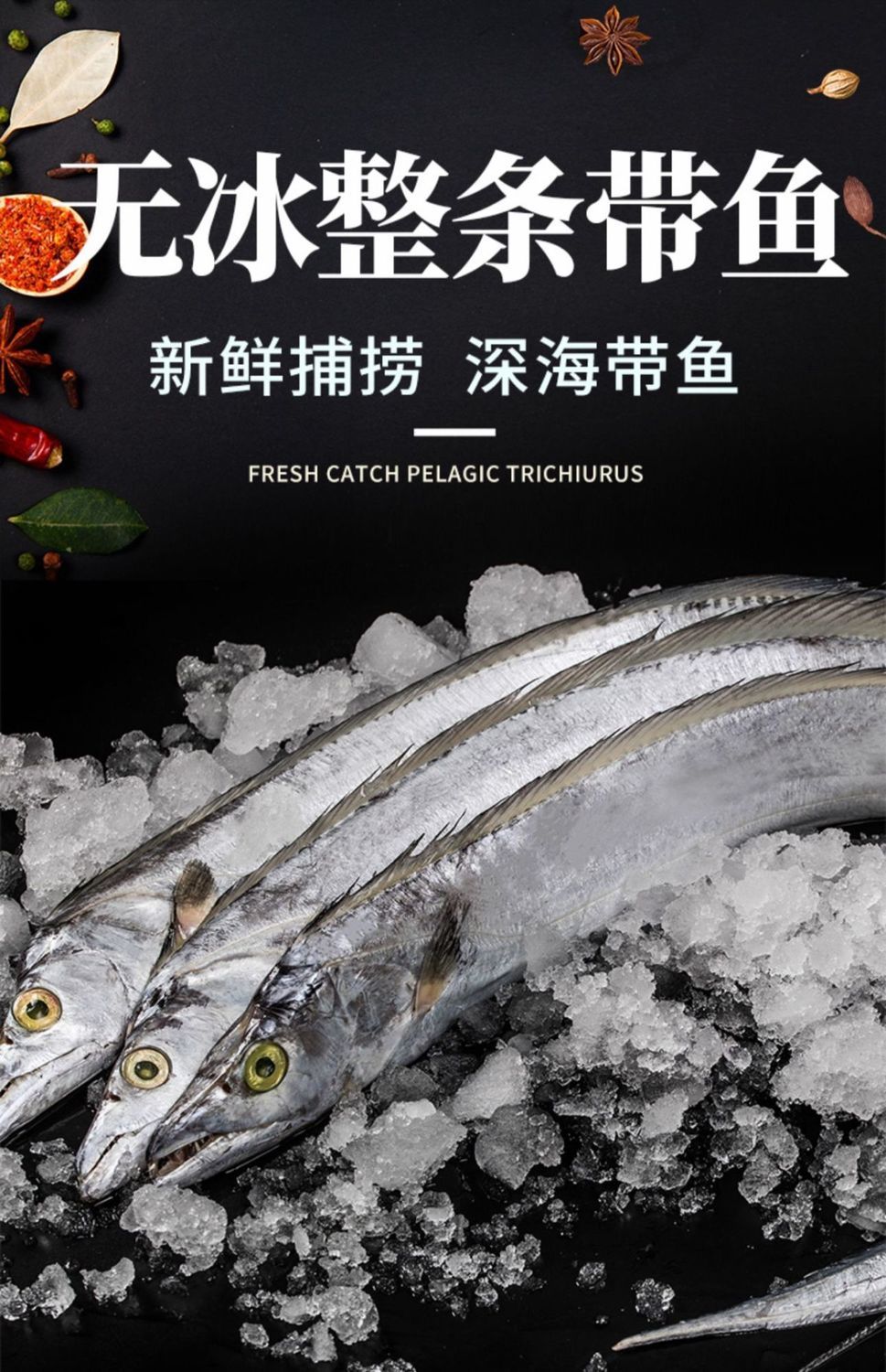 带鱼整条带鱼海捕带鱼带鱼新鲜海鲜东海一斤约两条装五斤