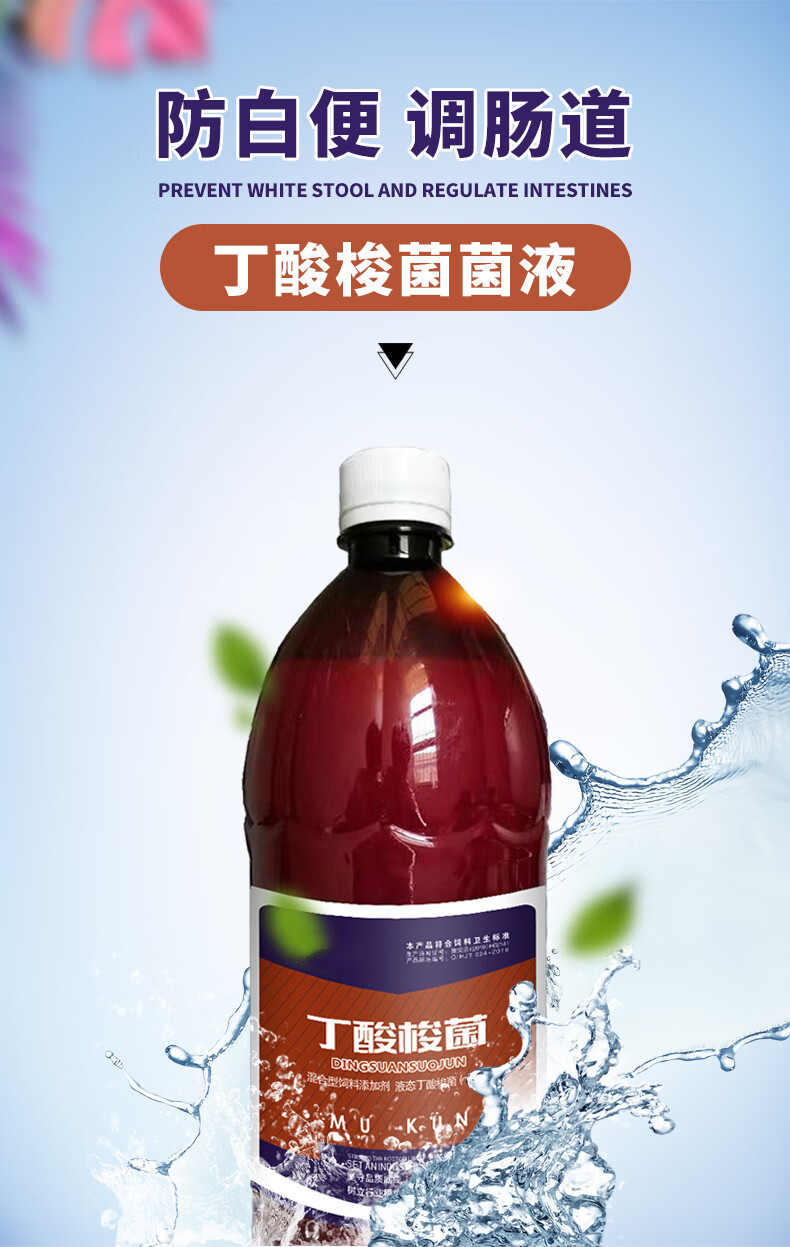 丁酸梭菌水产养殖用乳酸菌益生菌鱼虾蟹养殖调节肠道白便肠炎空肠1000