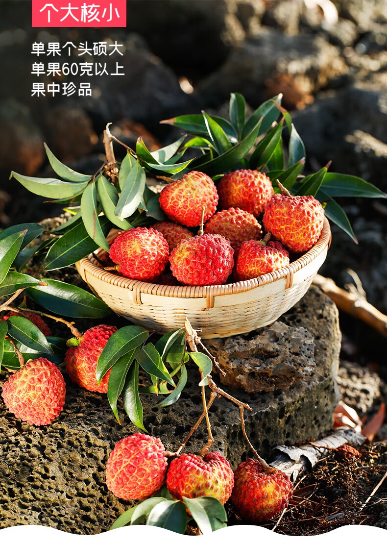 jd鲜配荔枝王海南超大荔枝火山口荔枝新鲜水果当季孕妇水果2500g精选