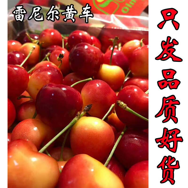 棠鲜生雷尼尔黄金车厘子新鲜时令水果黄樱桃黄金车厘子1000g