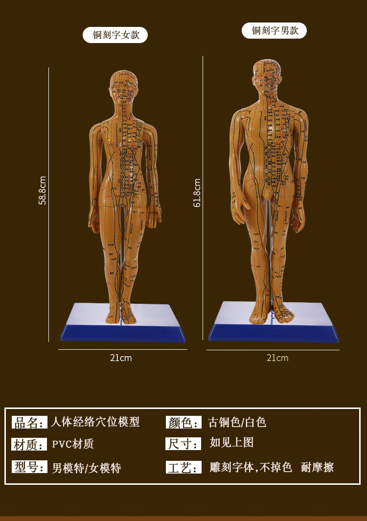 中医针灸穴位人体模型人偶医学全身十二经络图扎针练习小皮人模特58cm